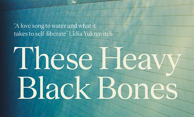 These Heavy Black Bones book cover